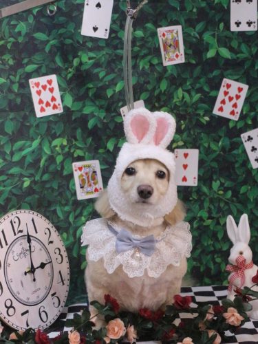 20250417テヤンくん